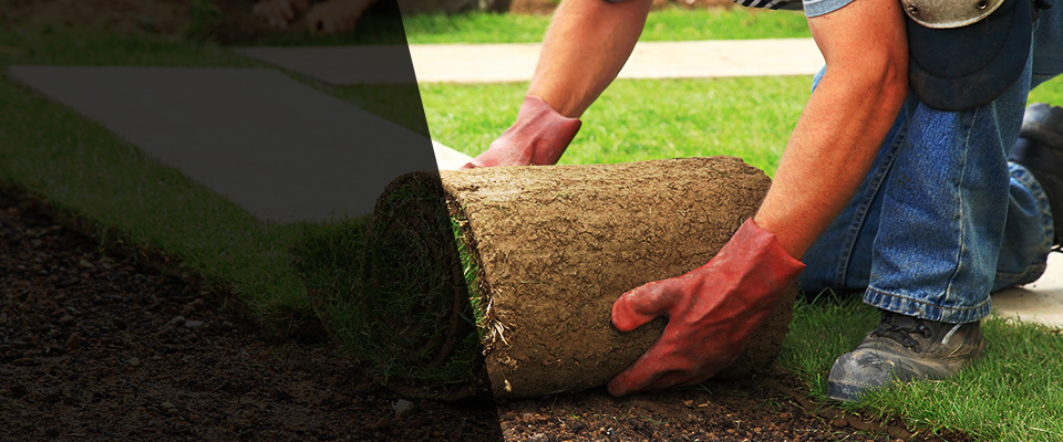 Gunnison Landscapers